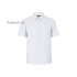 Louis Vuitton Replica Men Ready to wear Shirts Short Sleeves Shirt 4229 1